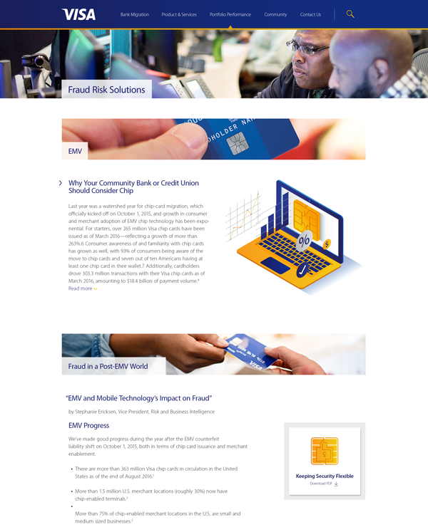 Visa website design