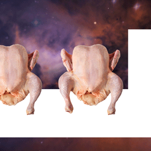 2+2=5 — Silky Szeto