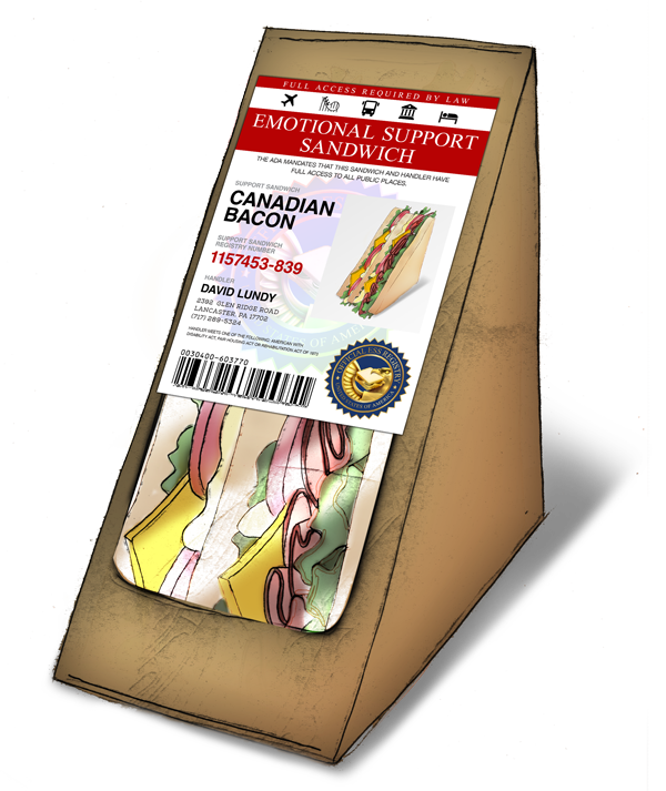 Random Ideas&mdash;Silky Szeto