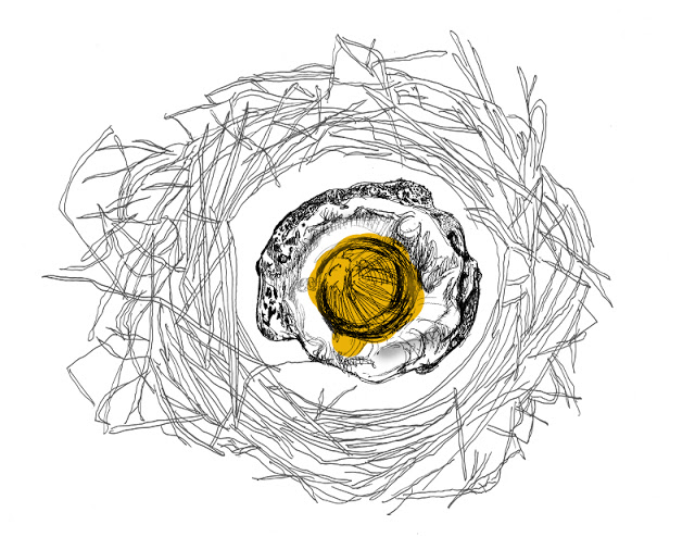 Random Ideas&mdash;Silky Szeto