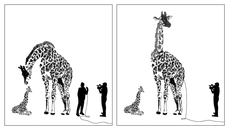 Random Ideas&mdash;Silky Szeto